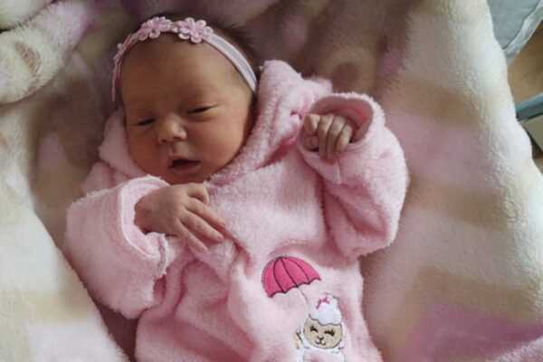 Polícia Militar auxilia gestante em trabalho de parto a chegar no hospital em Taboão da Serra policia-militar-auxilia-gestante-em-trabalho-de-parto-a-chegar-no-hospital-em-taboao-da-serra