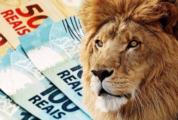 Imposto de Renda: Receita libera lote da malha fina nesta 2ª; confira imposto-de-renda:-receita-libera-lote-da-malha-fina-nesta-2a;-confira