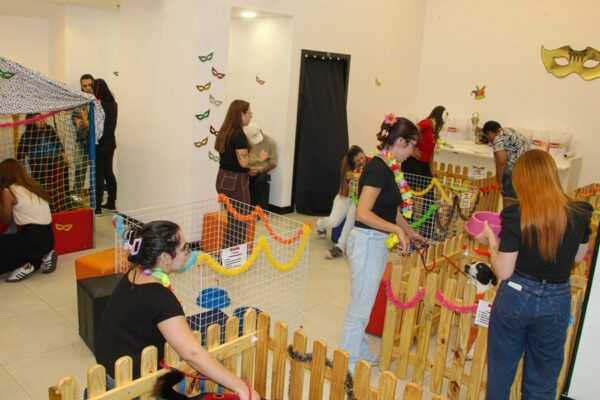 Prefeitura e Shopping Taboão realizam acontecimento de adoção com 40 cães e gatos nos dias 24 e 25 prefeitura-e-shopping-taboao-realizam-evento-de-adocao-com-40-caes-e-gatos-nos-dias-24-e-25